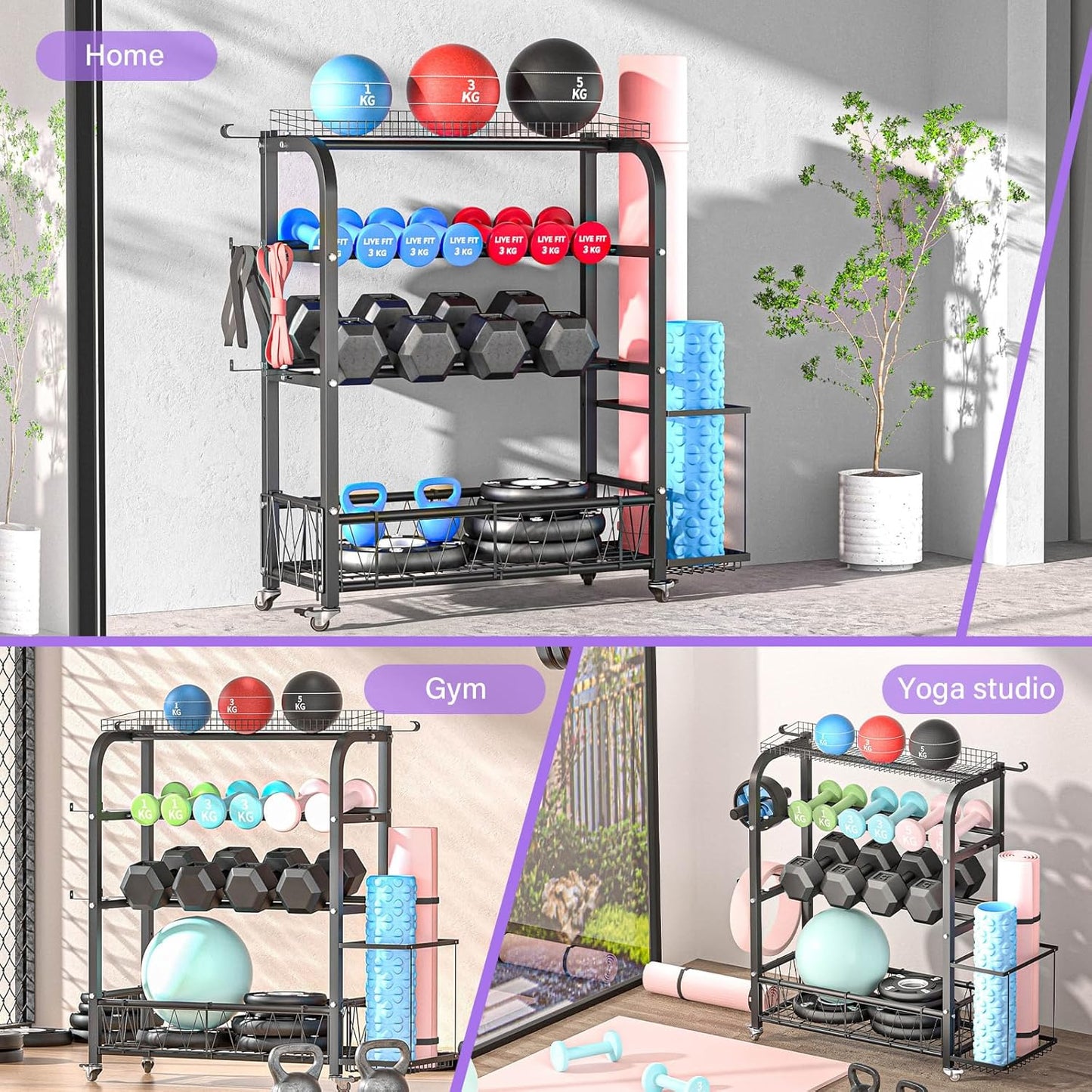 Heavy Duty Home Gym Dumbbell Storage Rack