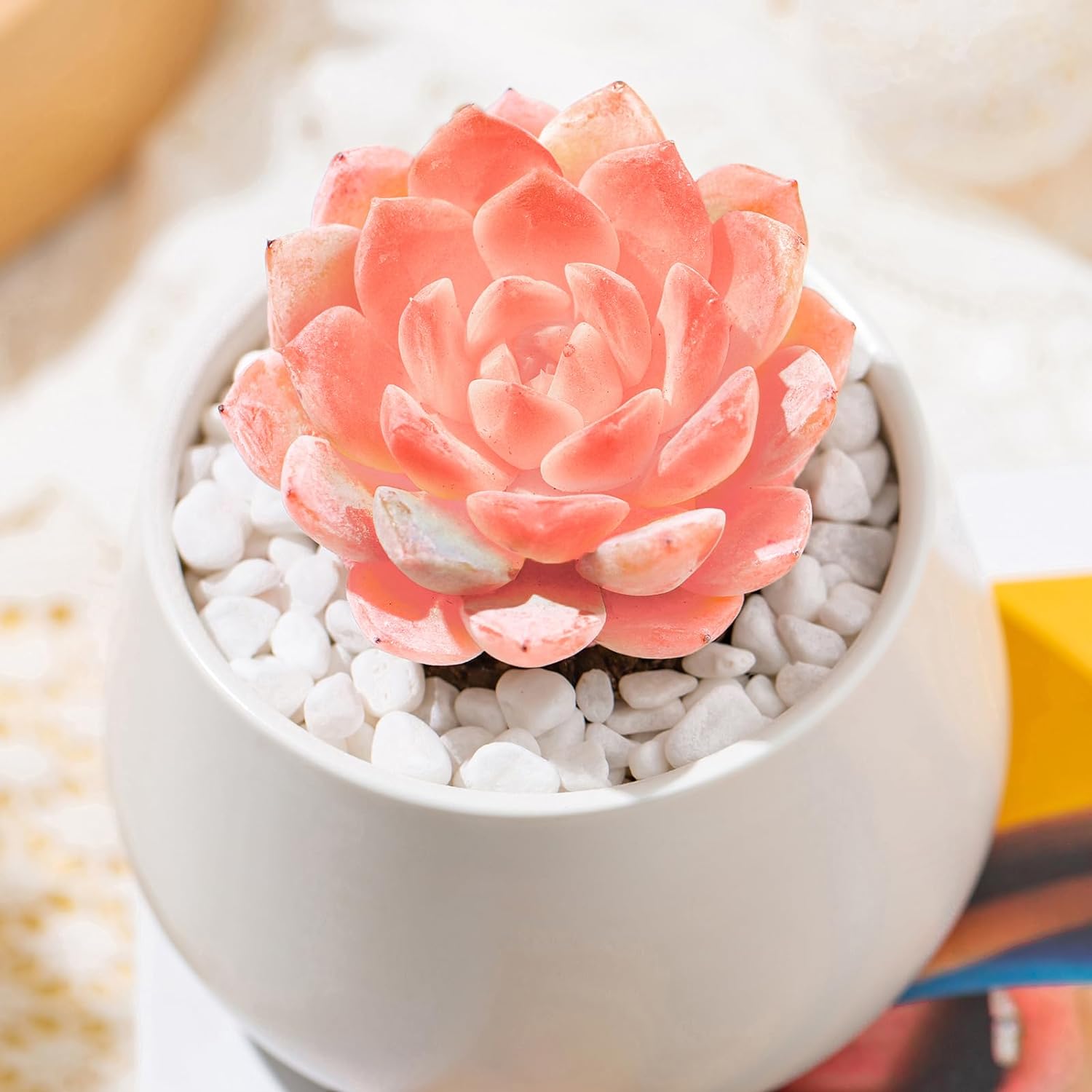 Succulent baby orders shower centerpieces