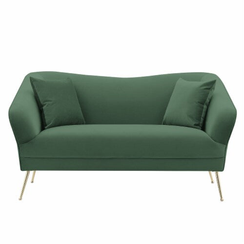 Ember Velvet Loveseat Sofa - Futu With . . .