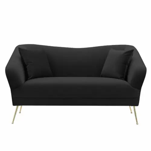 Ember Velvet Loveseat Sofa - Futu With . . .