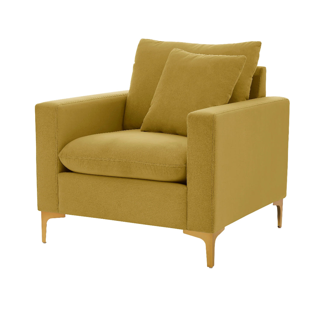Roxi Velvet Club Chair - Futu With . . .