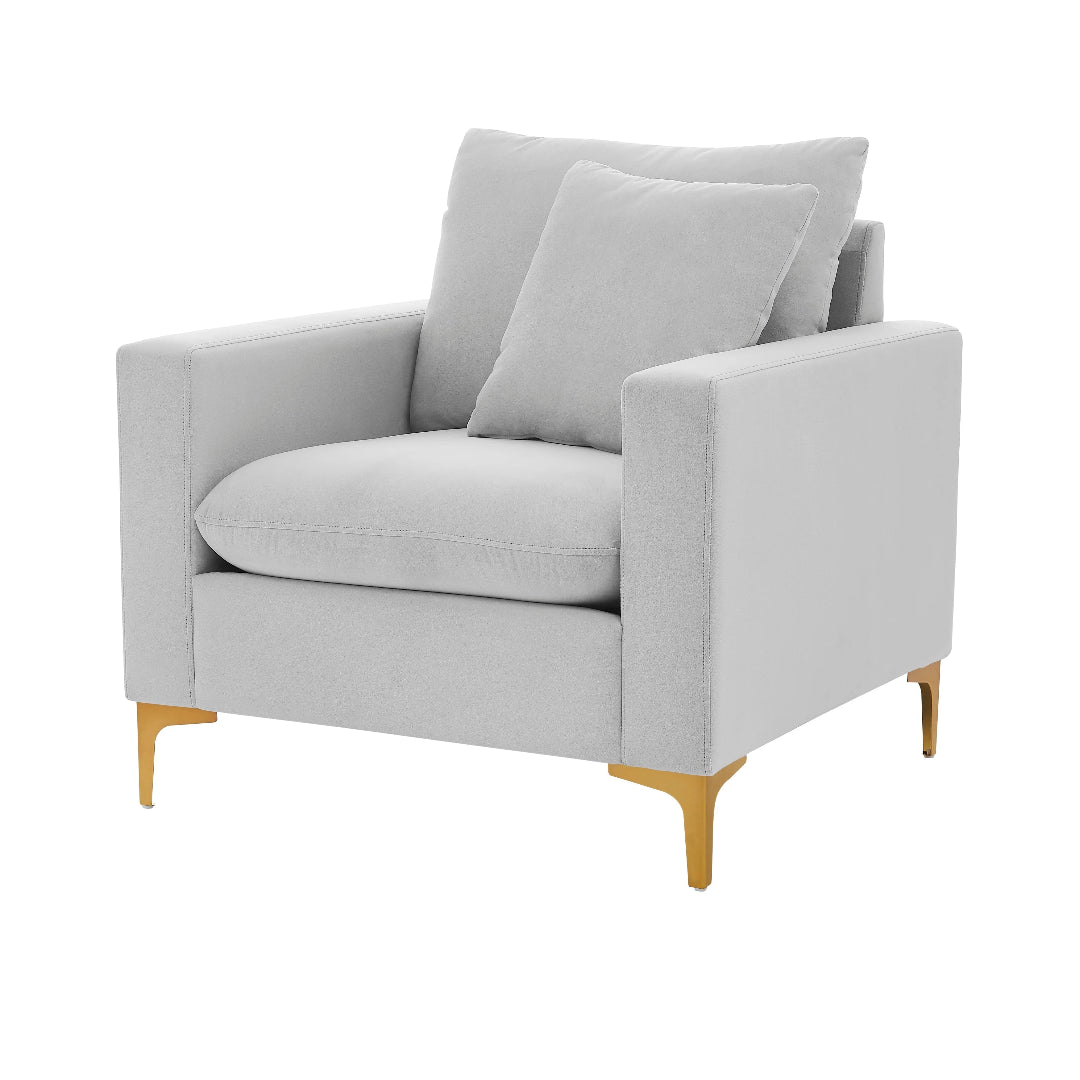 Roxi Velvet Club Chair - Futu With . . .
