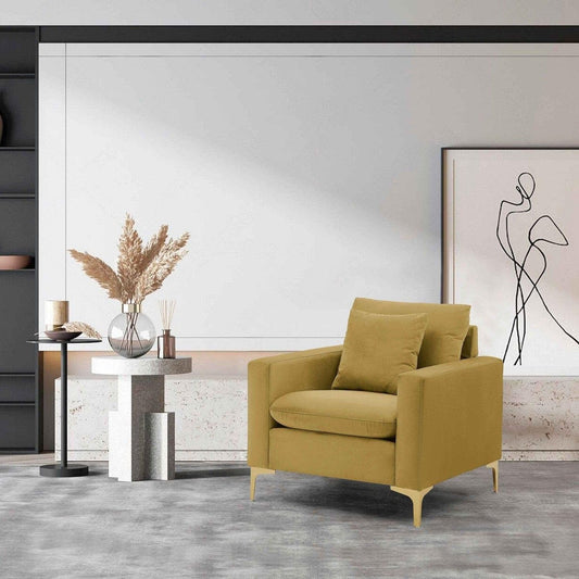 Roxi Velvet Club Chair - Futu With . . .