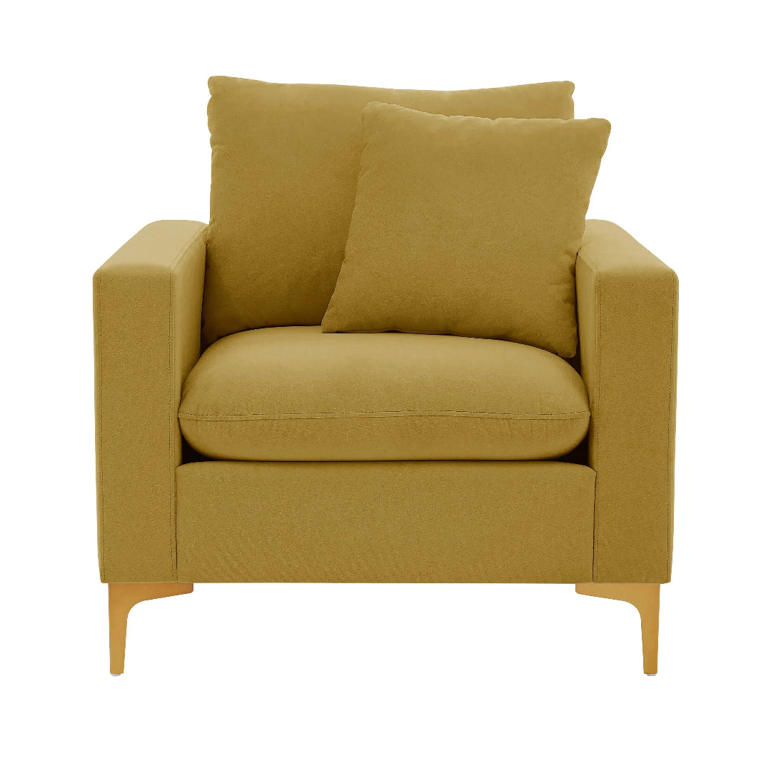 Roxi Velvet Club Chair - Futu With . . .