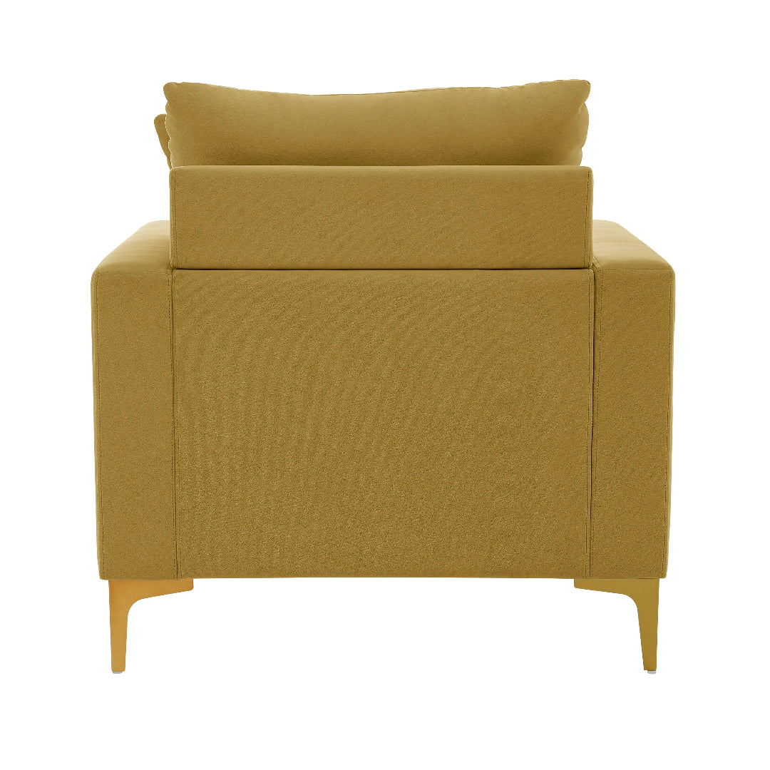 Roxi Velvet Club Chair - Futu With . . .