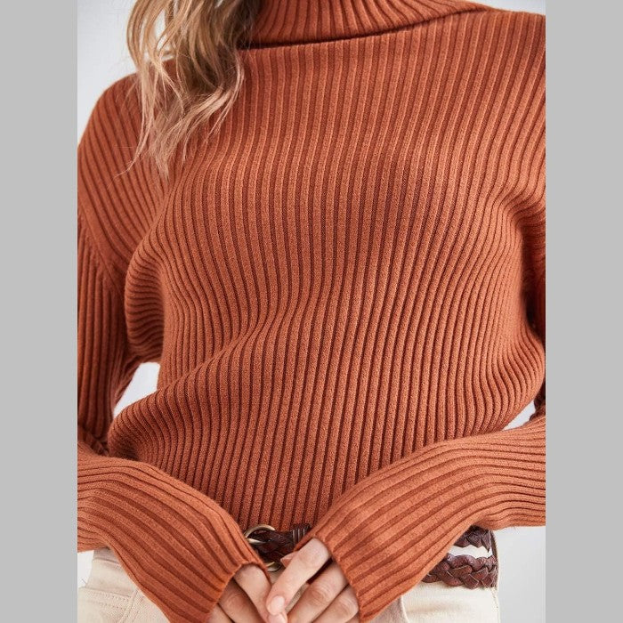 Ribbed Turtleneck Pullover Sweater - Futu With . . .