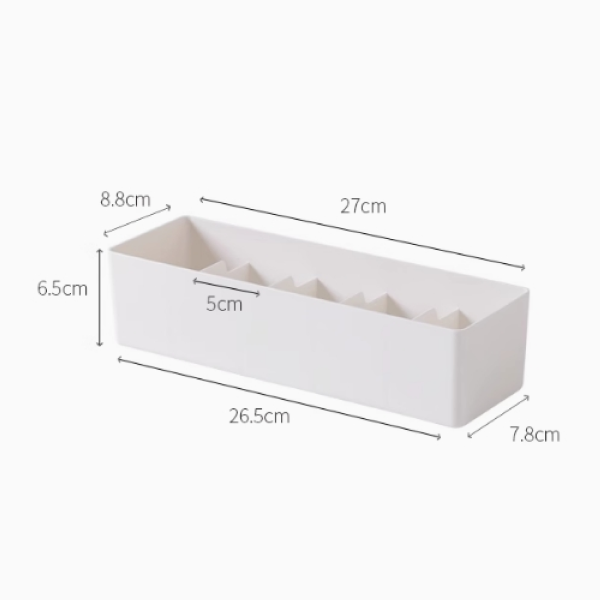 Compact Divided Storage Box