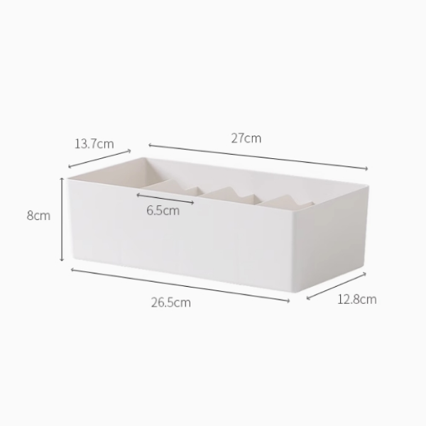 Compact Divided Storage Box