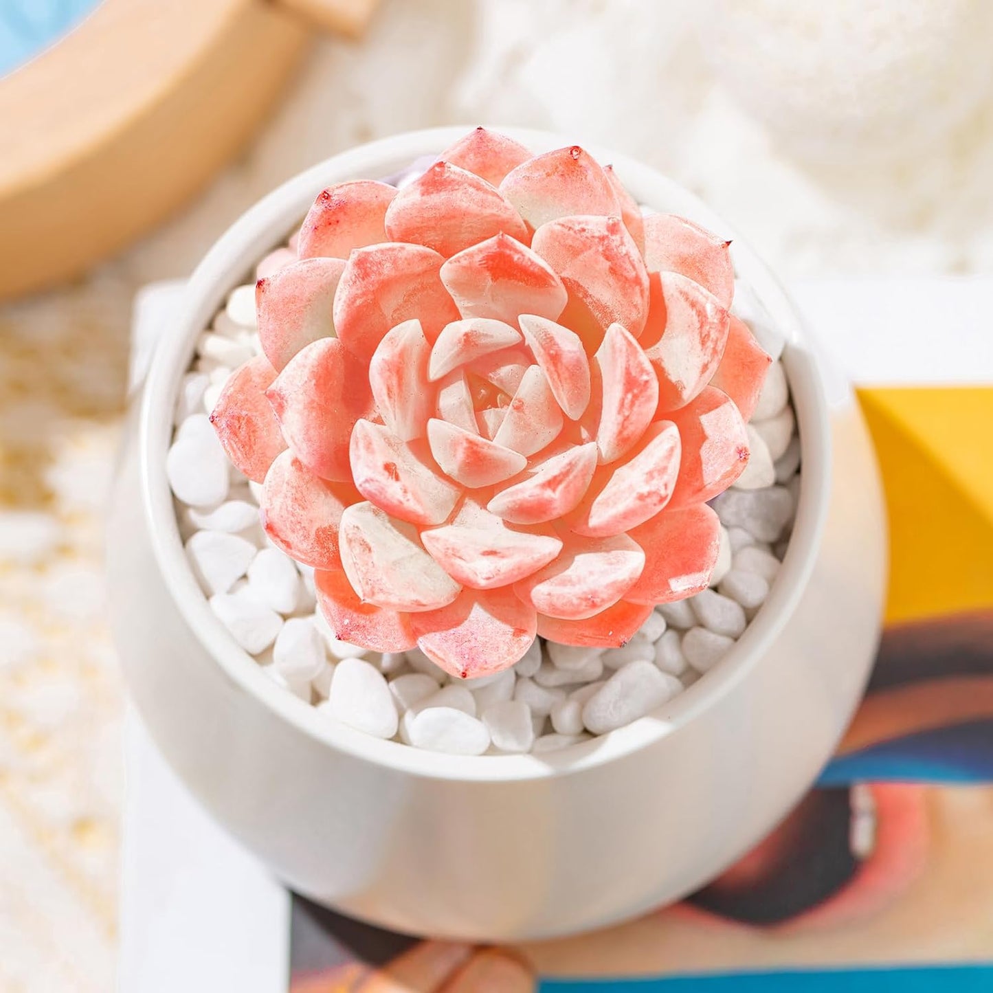 Echeveria Little Beauty Rare Live Succulent Plants, Mini Pink 1 Head 2" Live Plant, Package Without Pot Soil, Garden Indoor Office Desk, Wedding Party Baby Shower Decoration, Friend Plant Lovers Gifts