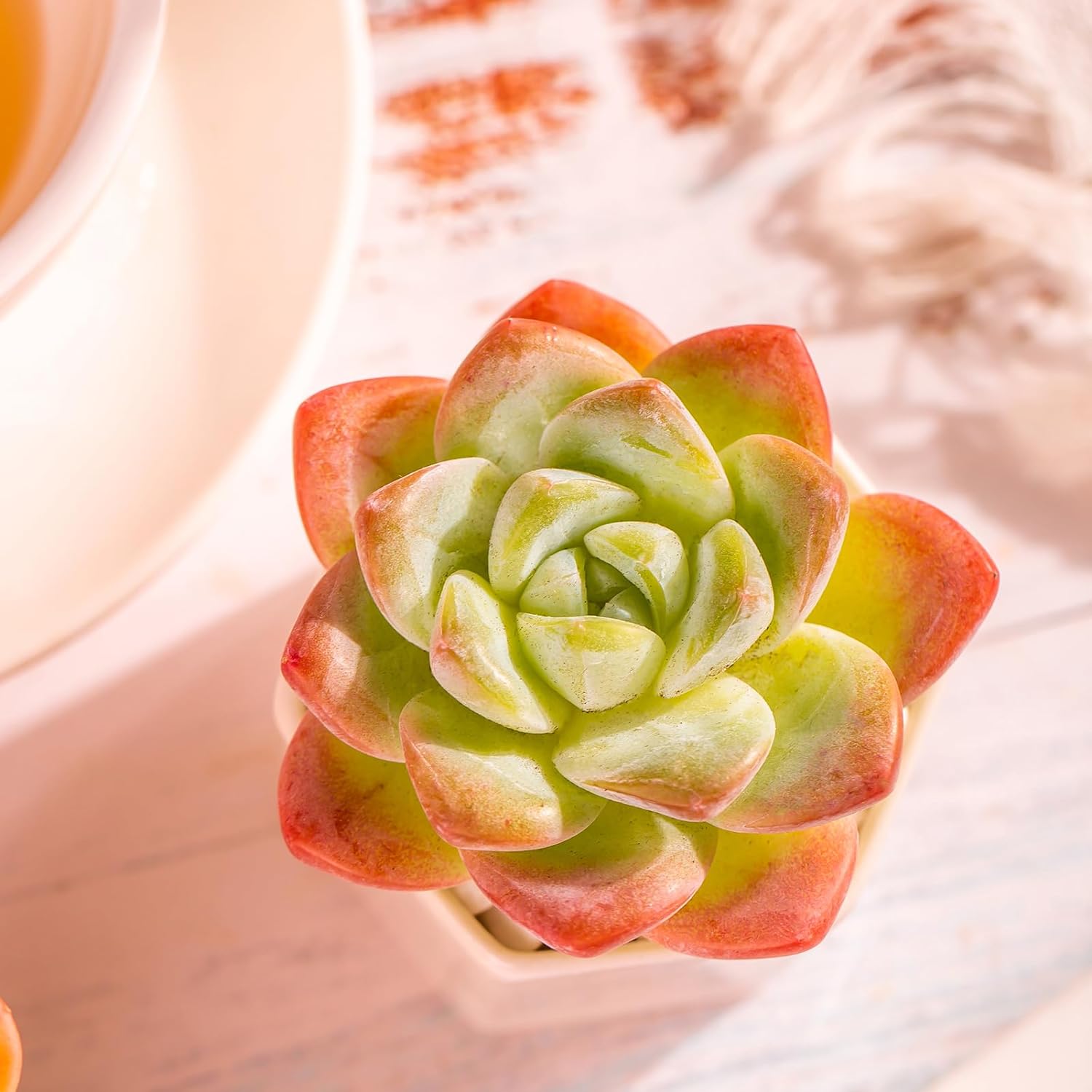 Echeveria Ice Green Rare Live Succulent Plants, Pink 1 Head 3.5" Live Plant, Package Without Pot & Soil, Placement on Garden Indoor Office Desk, Party Baby Shower Decoration, Friend Plant Lovers Gifts