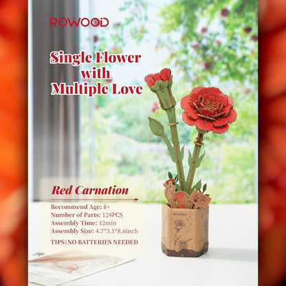 DIY Flower - Red Carnation - Futu With . . .