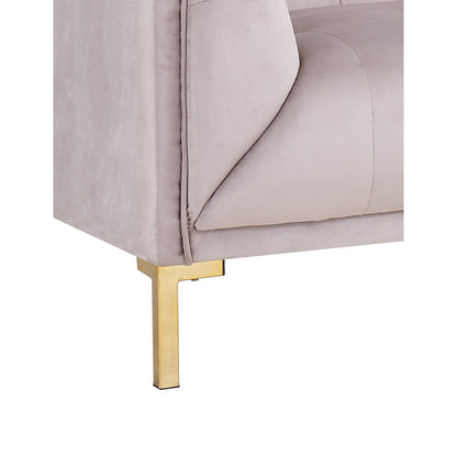 Aster Velvet Loveseat Sofa - Futu With . . .