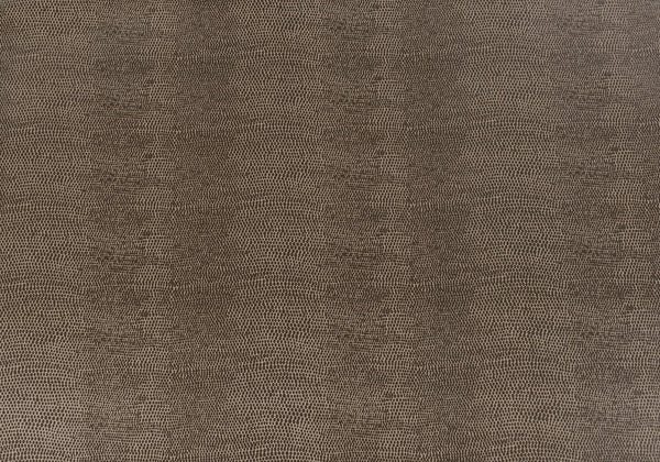 Lizard - Light Brown