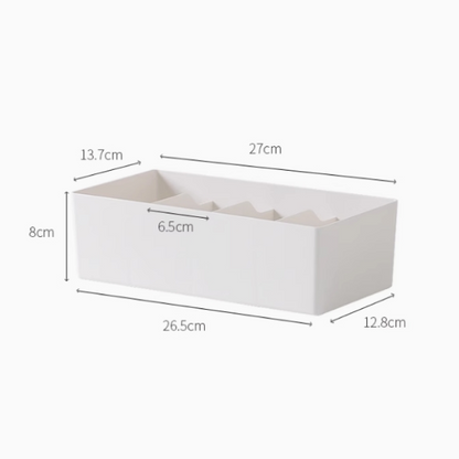 Compact Divided Storage Boxes