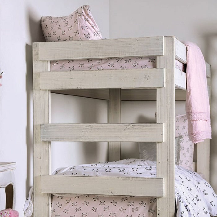 Arlene Twin/Twin Bunk Bed