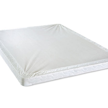 Byrd of Paradis Euro Pillow Top Mattress
